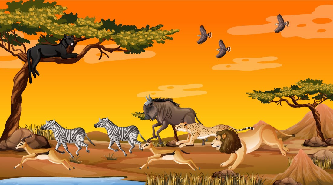 Wild Nature Dieren Fotobehang