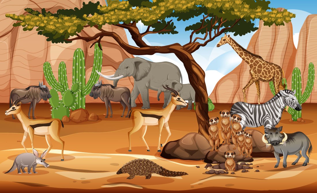 Afrikaanse Natuur Dieren Themabehang