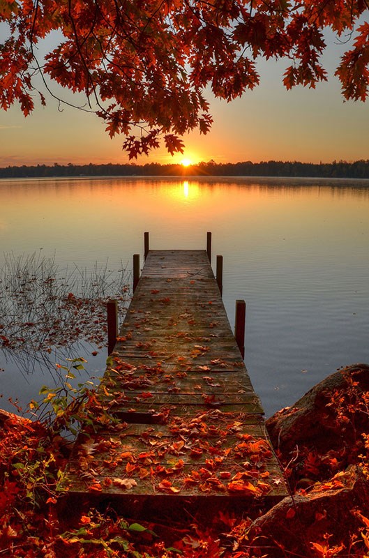 Herfstbehang met uitzicht op meer