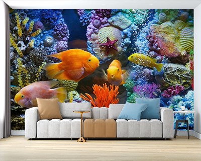 Aquarium Op zoek Behang