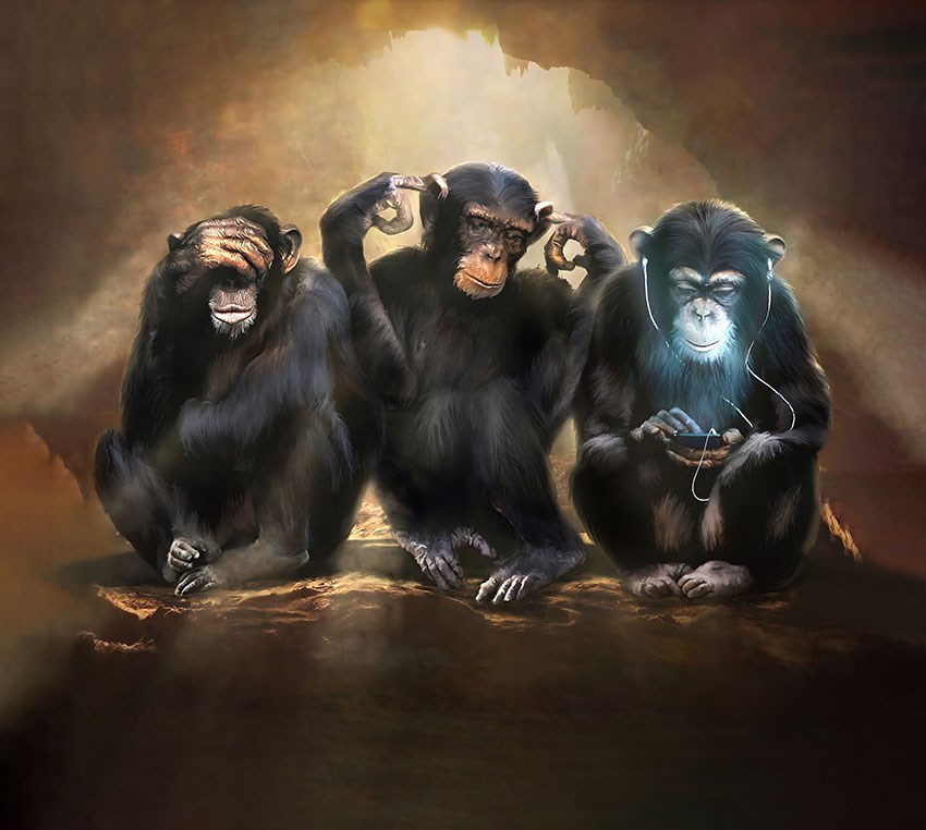 behang met drie apen