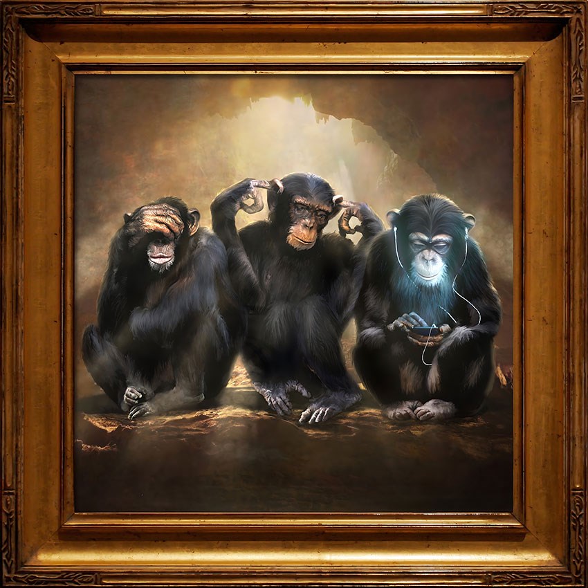behang met drie aapjes