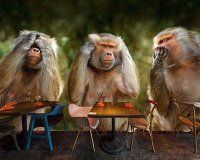 drie aapachtig behang