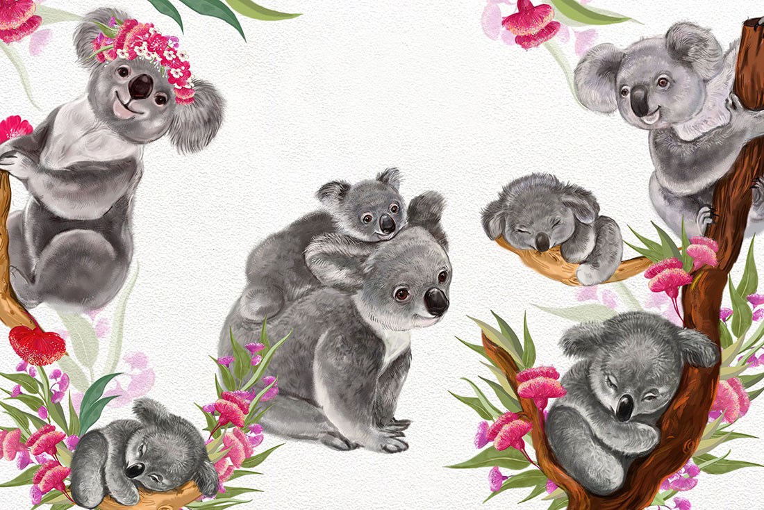 koala fotobehang