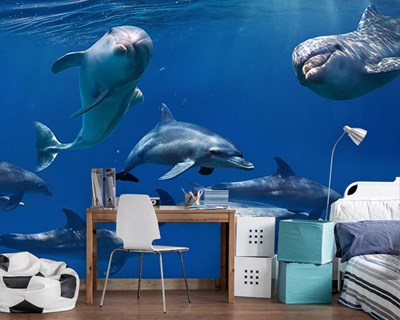 behang met dolfijnen in de zee-thema