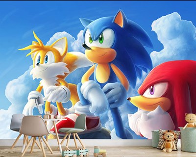  Sonic op zoek Wallpaper