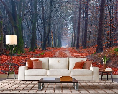 Herfst in het bos geïllustreerd behang