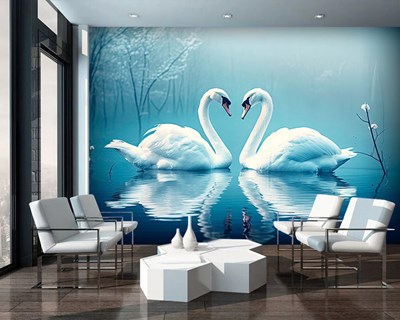 Twee witte zwanen Picture Wallpapers