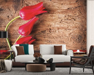 Rode tulp behang met afbeelding