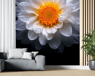 3D-behang met madeliefjesmotief