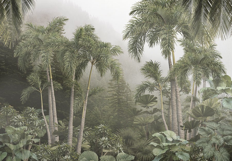 Tropische regenwouden behang