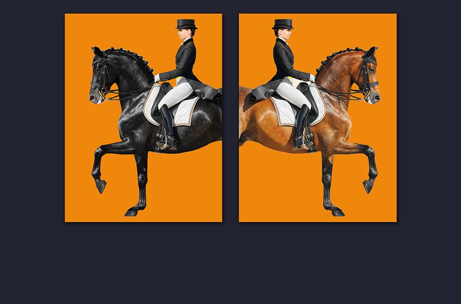 Wallpaper met het thema 'Vrouwelijke jockey'