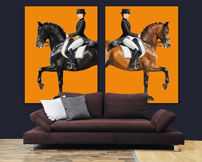 Wallpaper met het thema 'Vrouwelijke jockey'