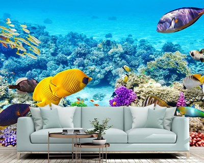 Onderwaterleven en vissen behang