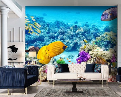 Onderwaterleven en vissen behang