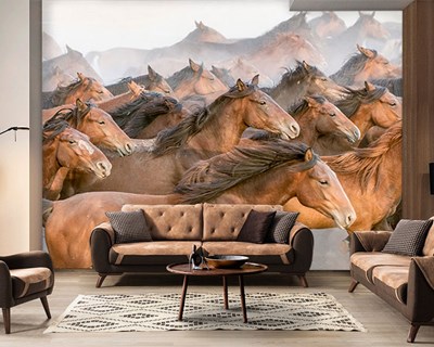 Rennende bruine paarden kudde behang