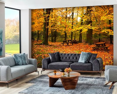 Behang met herfstlandschap in het bos