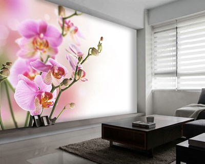 Roze Orchidee Geïllustreerd Behang