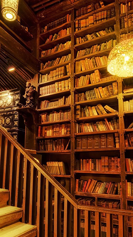 Bibliotheek op zoek Behang