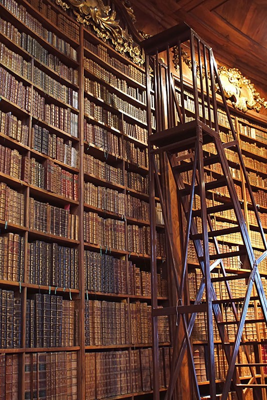 Grote Bibliotheek Geïllustreerd Behang 