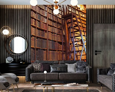 Grote Bibliotheek Geïllustreerd Behang 