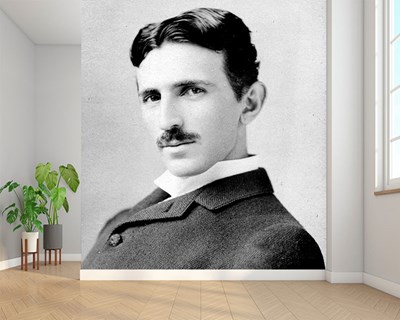 Nicola Tesla Behang
