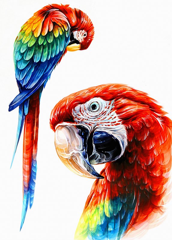 Papegaai schilderij behang 
