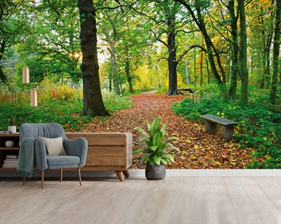 Weelderig Bos Natuur Uitzicht Behang