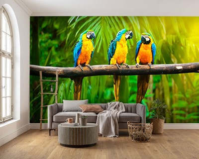 Papegaaien in een boom geïllustreerd behang 
