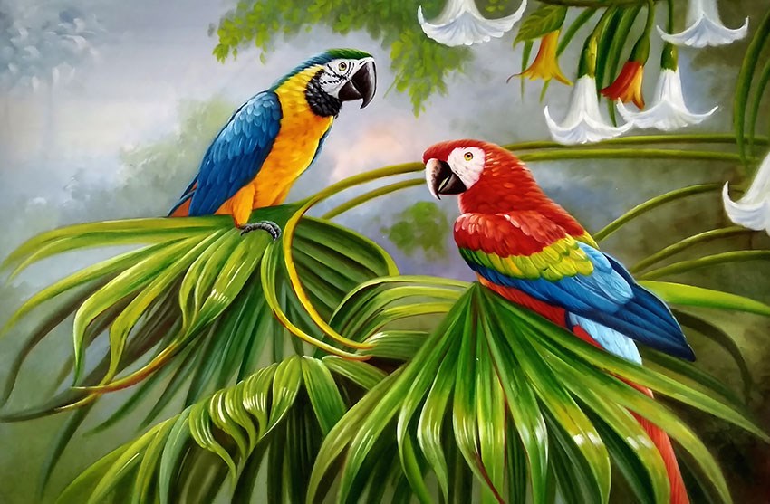 Papegaai thema-behang