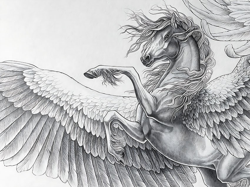 Pegasus Geïllustreerd Behang