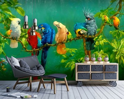 Papegaaien Rassen Thema Behang
