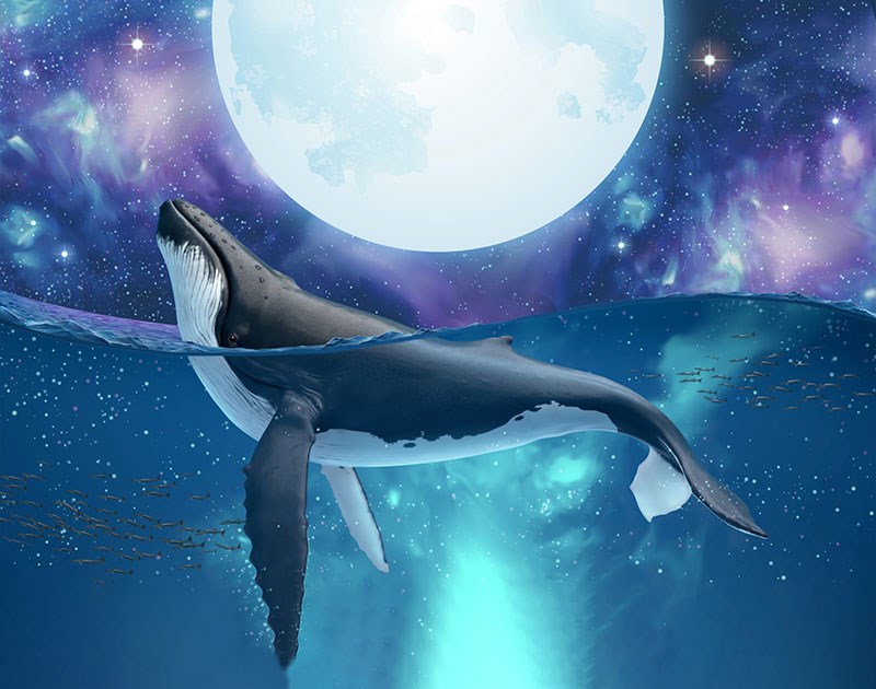 Volle maan walvis geïllustreerd behang 