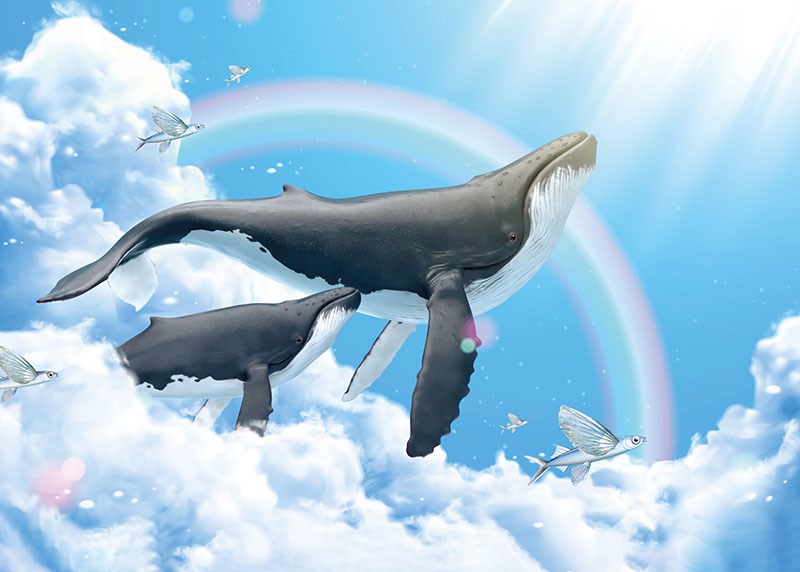 Walvis en kalf geïllustreerd fantasiebehang 