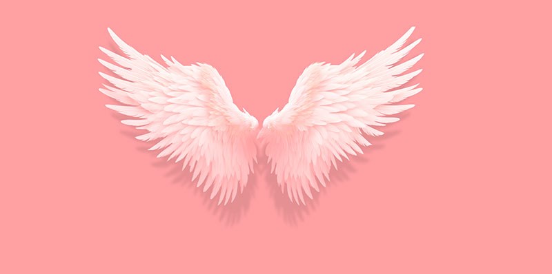 Engelenvleugels op roze achtergrond 