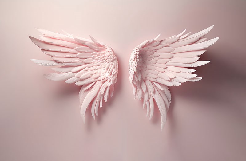 Roze engelenvleugels Wallpapers