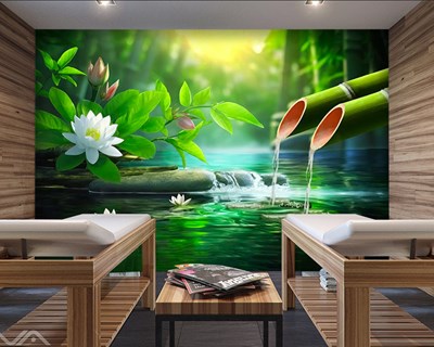 Spa Massage Parlours Achtergronden