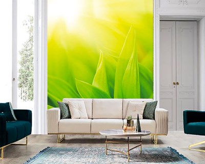 Natuurlijk bladgroen behang 
