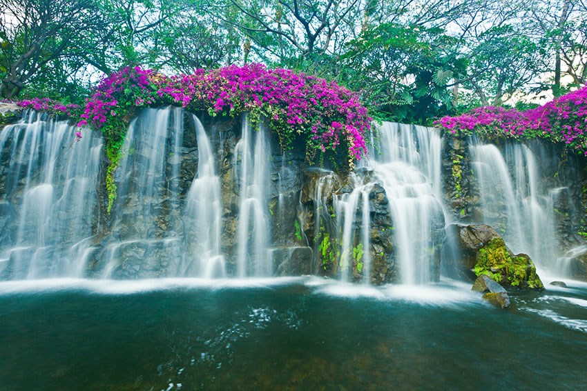 Waterval geïllustreerd behang