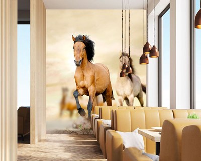 Lopend Paard Thema-Behang