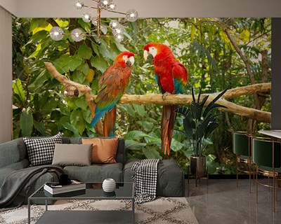 Rood papegaai geïllustreerd behang 