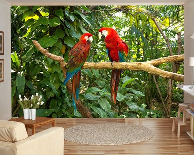 Rood papegaai geïllustreerd behang 