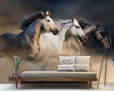  Paarden geïllustreerd behang