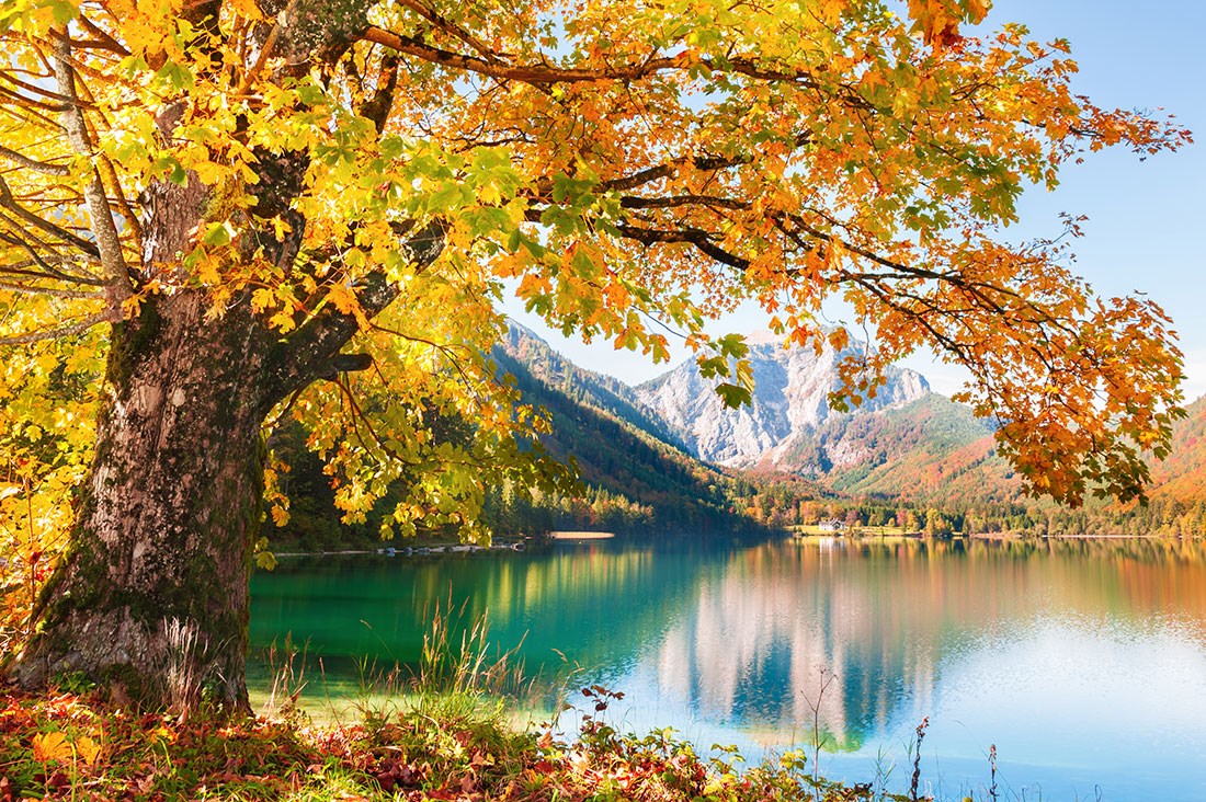 Herfstbehang met uitzicht op bergen en meren