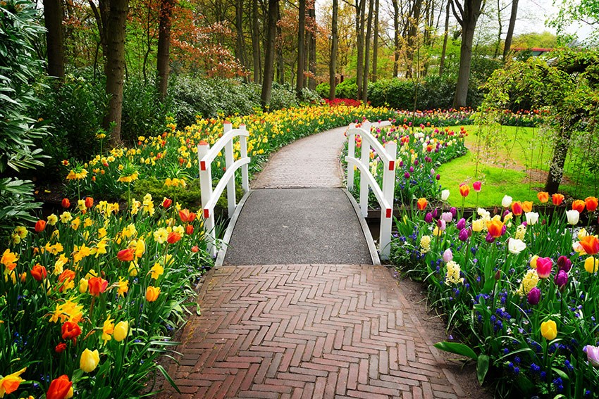 Bloemrijke tuinpad-thema behang 