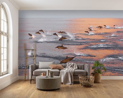 Dolfijnen in de zee als thema voor behang