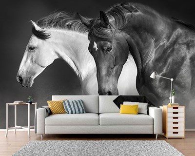 Zwart-wit paardenafbeelding behang 