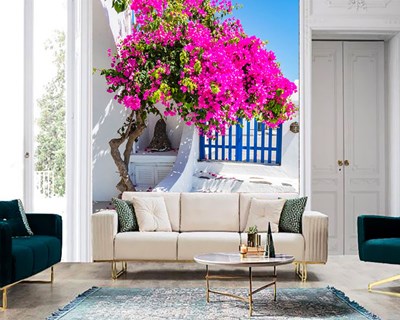 Bougainvillea Bloemen Beeld Behang