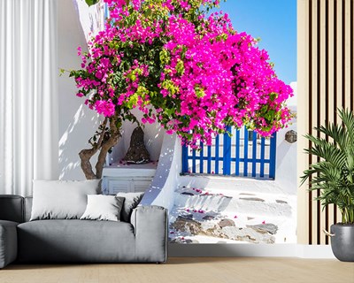 Bougainvillea Bloemen Beeld Behang