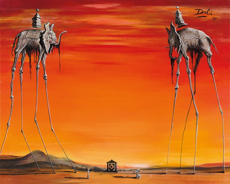 Salvador Dalí's Fillers-Schildersbehang